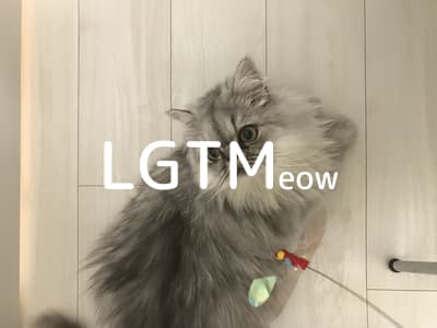 lgtm-cat-image