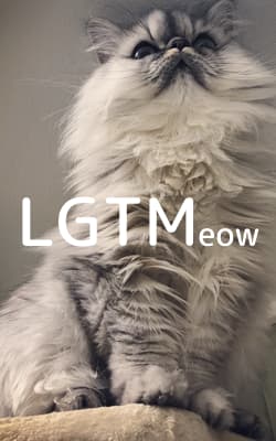 lgtm-cat-image