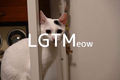 lgtm-cat-image