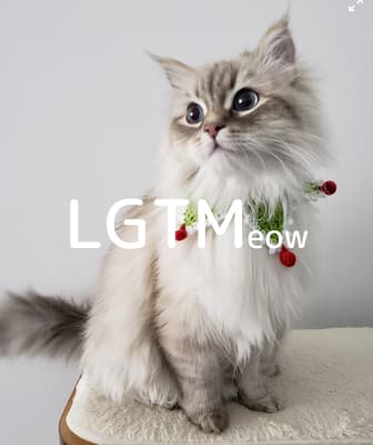 lgtm-cat-image