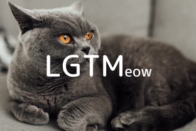 lgtm-cat-image